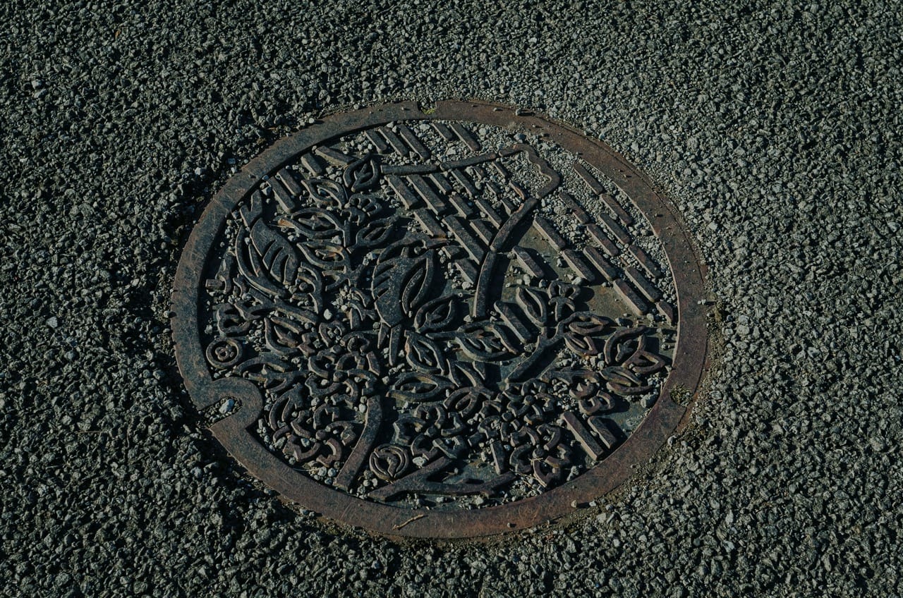 Превью Fuji 2024